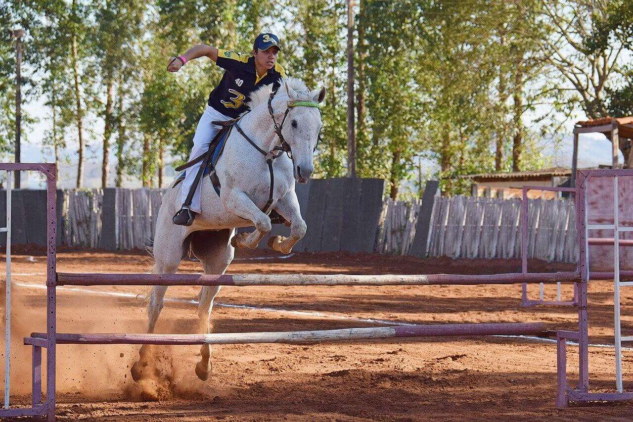 mon club equitation